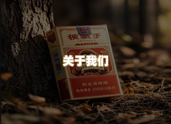 关于蓝帝网